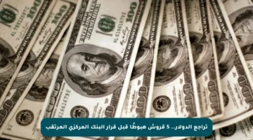 تراجع الدولار.. 5 قروش هبوطًا قبل قرار البنك المركزي المرتقب